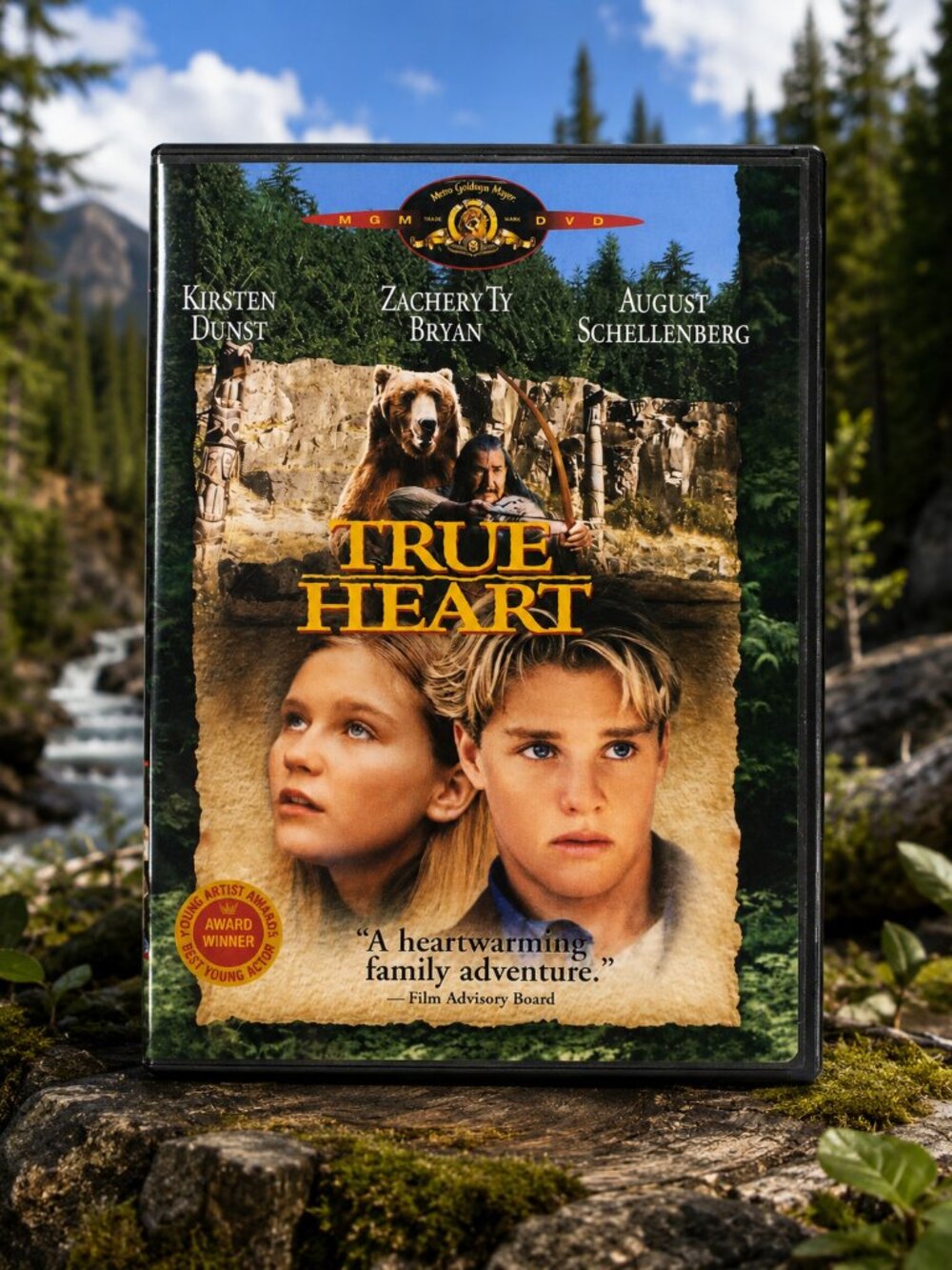 True Heart (DVD, Region 1) Very Good condition from personal collection!